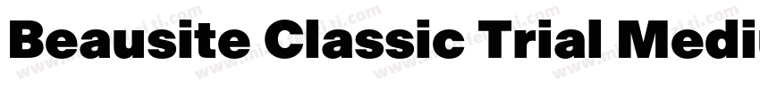 Beausite Classic Trial Medium字体转换